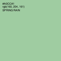 #A0CCA1 - Spring Rain Color Image